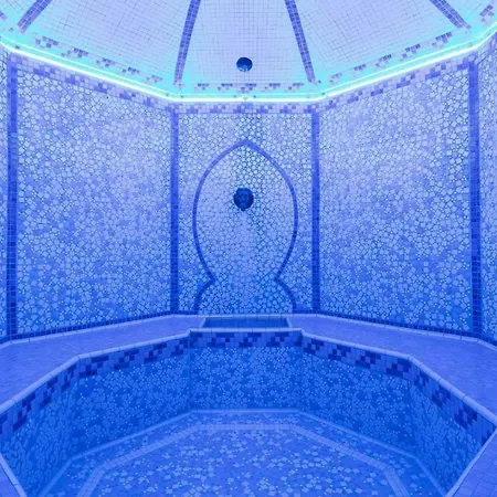 Le Palace Des Neiges Otel