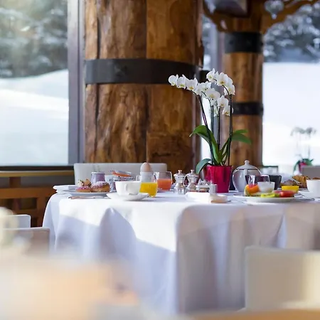 Le Palace Des Neiges Otel 3*